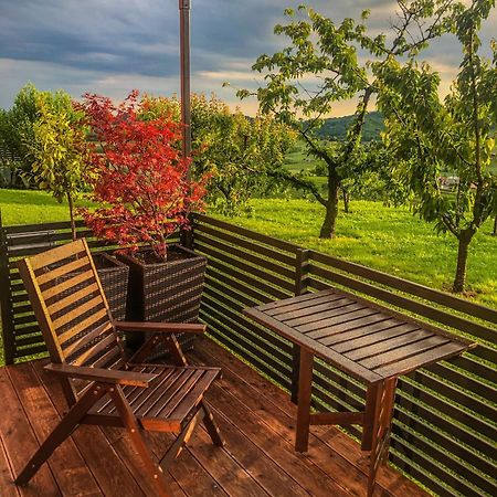 Apartma Sobe Pulec Dobrovo Zewnętrze zdjęcie